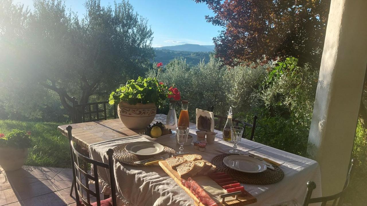 Bed & Breakfast Le Coccinelle Bed & Breakfast Rosciano  Eksteriør bilde