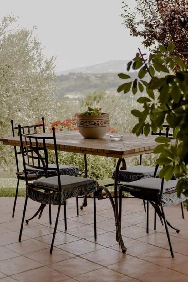 Bed & Breakfast Le Coccinelle Bed & Breakfast Rosciano  Eksteriør bilde